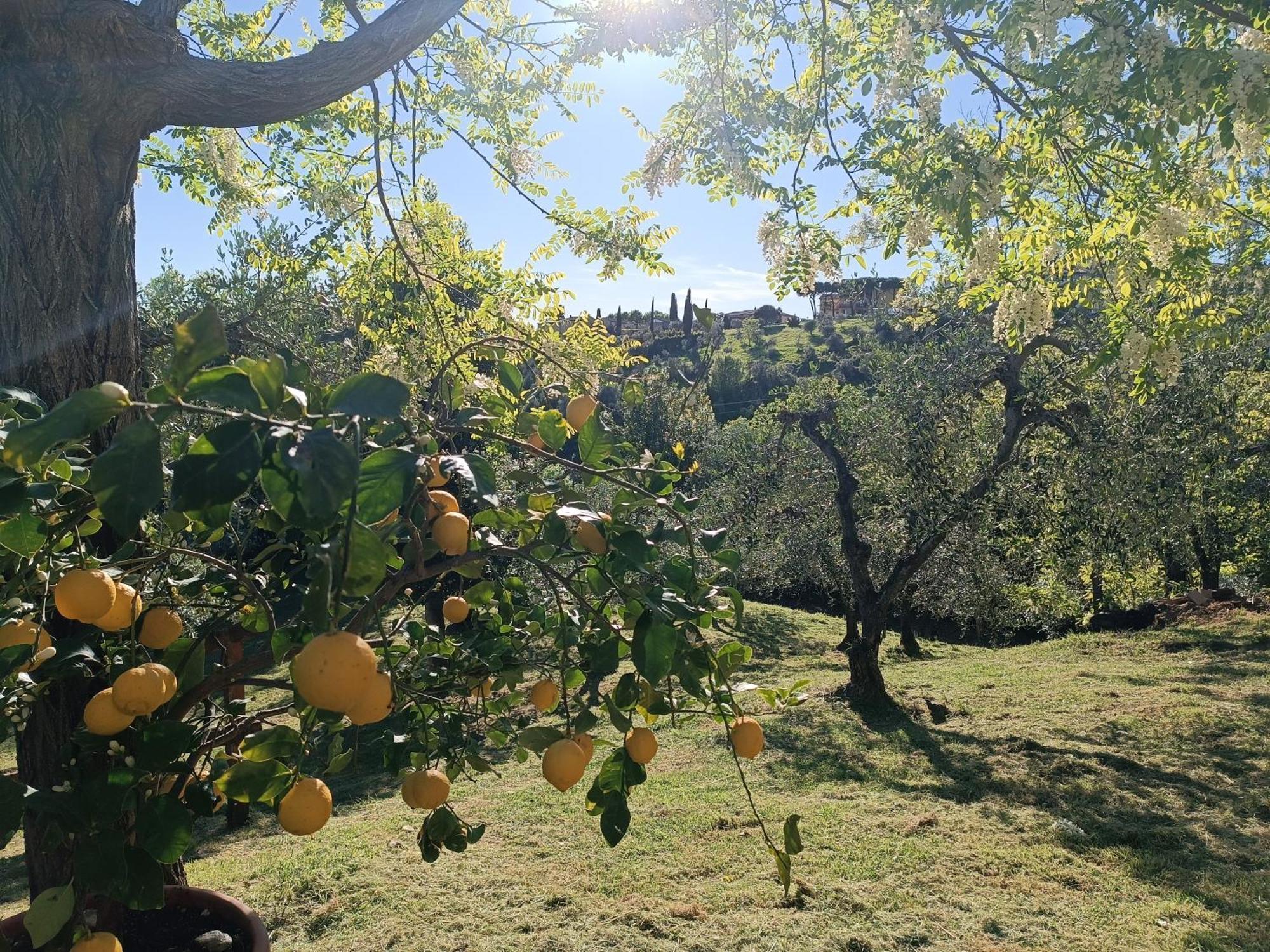 Le Massucce San Casciano in Val di Pesa Exterior photo